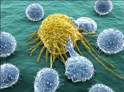 Immuno oncology Therapy