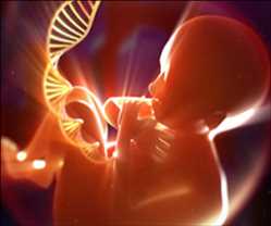 Prenatal DNA Sequencing