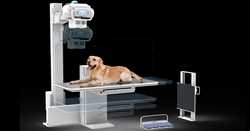 Veterinary X ray