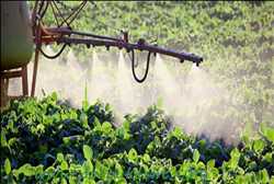 Agricultural Biological