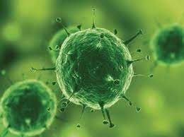 Revêtements en poudre antimicrobiens