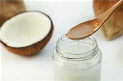 Coconut Milk Products