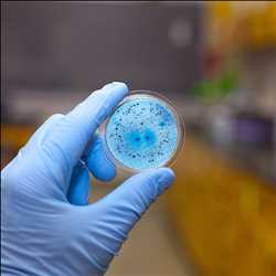 Microbial Therapeutic Products